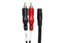 CFR-210, Hosa Stereo Adapter, 3.5 mm Female TRSF to Dual RCA, Males  10 ft