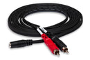 CFR-210, Hosa Stereo Adapter, 3.5 mm Female TRSF to Dual RCA, Males  10 ft