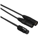 YMXF2XM-1, ProCo 1-XLR Female to 2-XLR Male Y-Cable, 12" Length