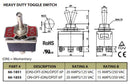 66-1851 DPDT (on) off (on) (Momentary) 20A@125V 30-050