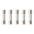 5 Pack of NTE GDA-200mA, 200mA @ 250V, Ceramic Fast-Acting (Fast Blow) Fuses