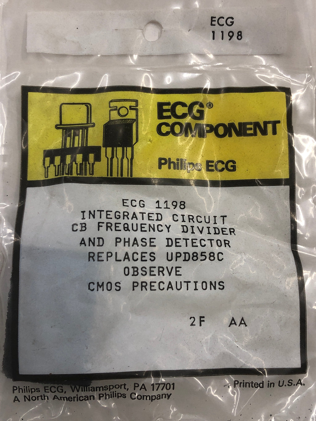 ECG \/ NTE