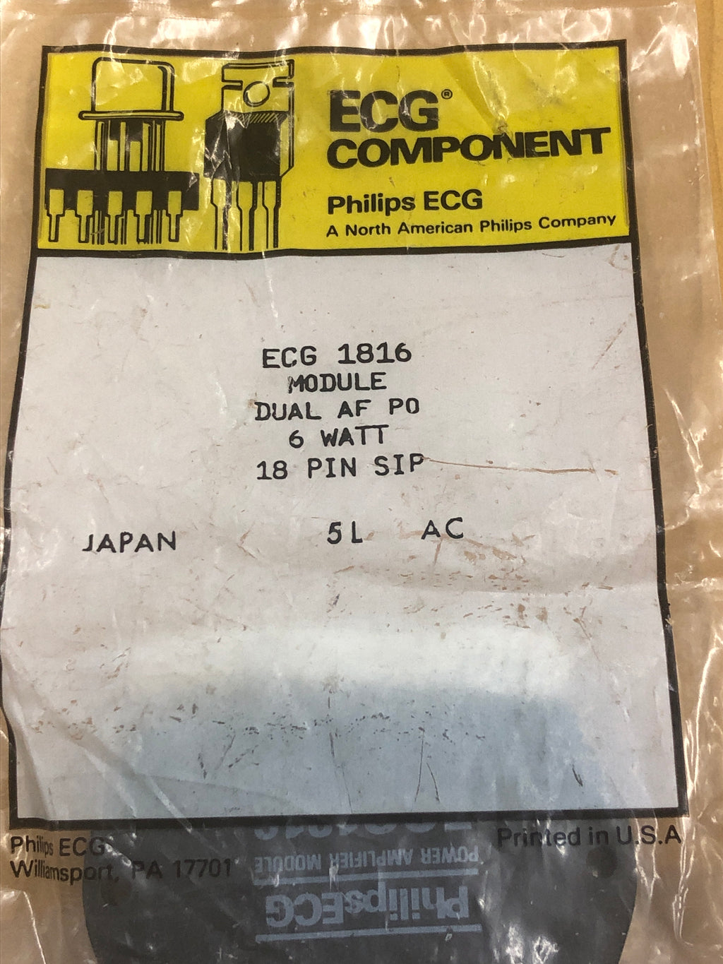 ECG \/ NTE