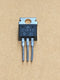 Silicon NPN transistor C1446 (190)