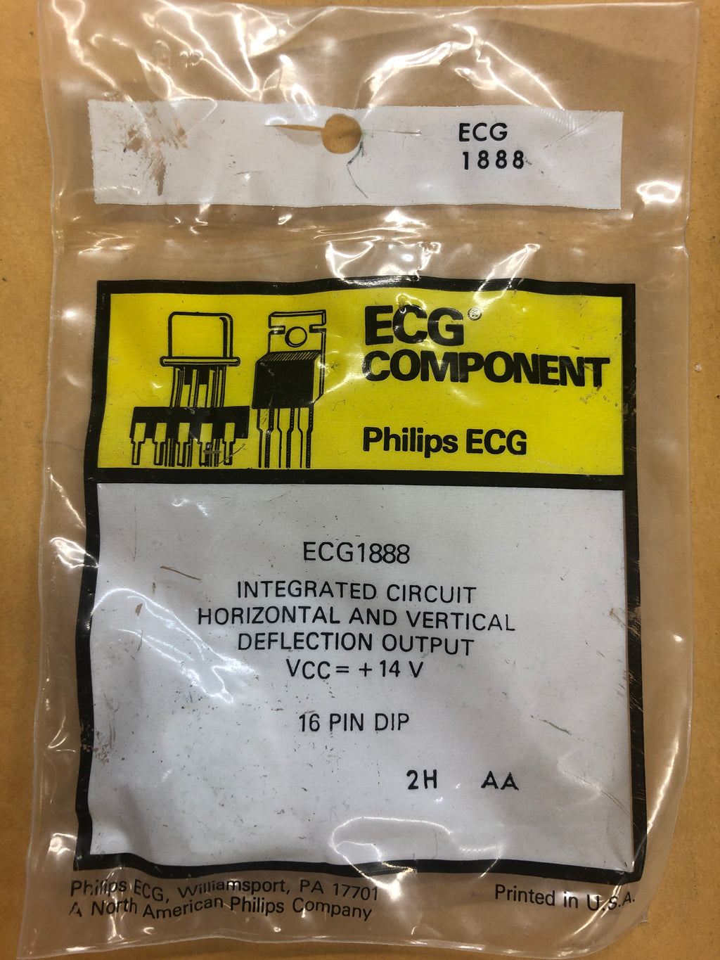 ECG \/ NTE