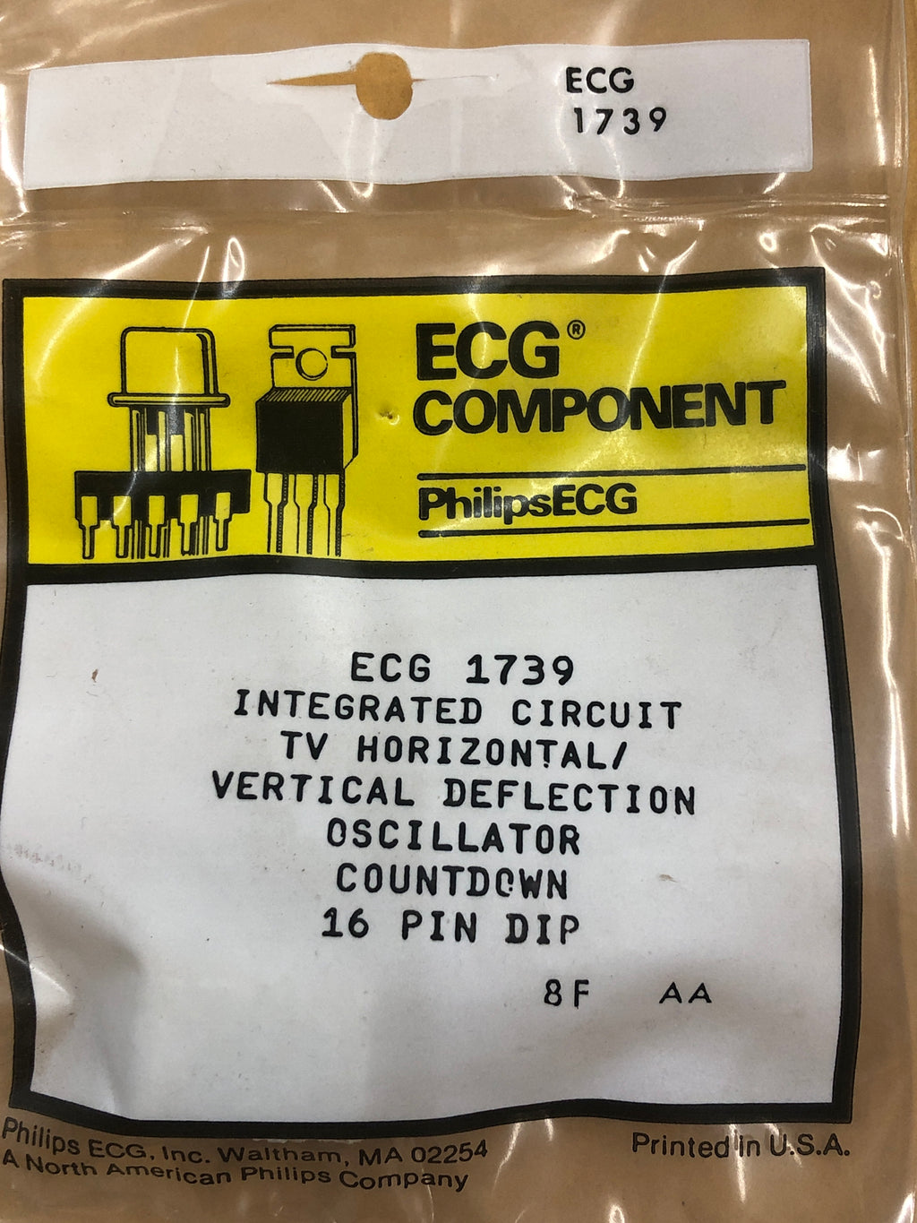 ECG \/ NTE