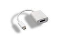 30UC-CDP, USB 3.1 TYPE-C Male to Display Port Female Adapter
