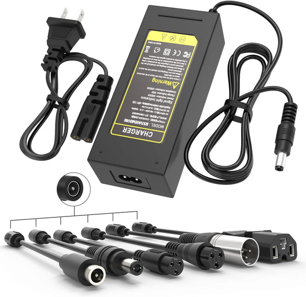 CH48-54.6 2A Universal 54.6V 2A Fast Charger with 7 Plugs Universal for 13S 48V Lithium Battery, BOEEA 48V Lithium-ion Battery Charger Replacement