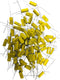 ZA9468-473M,100 pack  Qual Capacitor 0.047 UF 600 VDC 20 Elpac Metalized Polyester Film Zb9468-473m