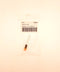 DB-15-T-OR, Sato Parts Small ORANGE LED in a 5.0mm Snap-In Holder