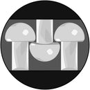 3 Foot Roll of 1" Width of 3M