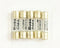 5 Pack of Buss GMA-100mA, 0.100A 250V Fast Acting (Fast Blow) Glass Body Fuses