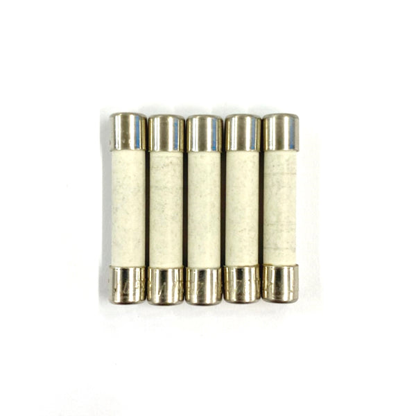 5 Pack of Buss MDA-2-1/2A, 2.5A 250V Time Delay (Slow Blow) Ceramic Body Fuses