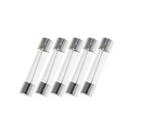 5 Pack of Buss AGC-3/10, 0.300A 250V Fast Acting (Fast Blow) Glass Body Fuses