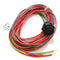 Turck RXF 311-3M (U2191-1) 3 Pin Female 7/8 -16 UN Minifast® Cable 3M Length